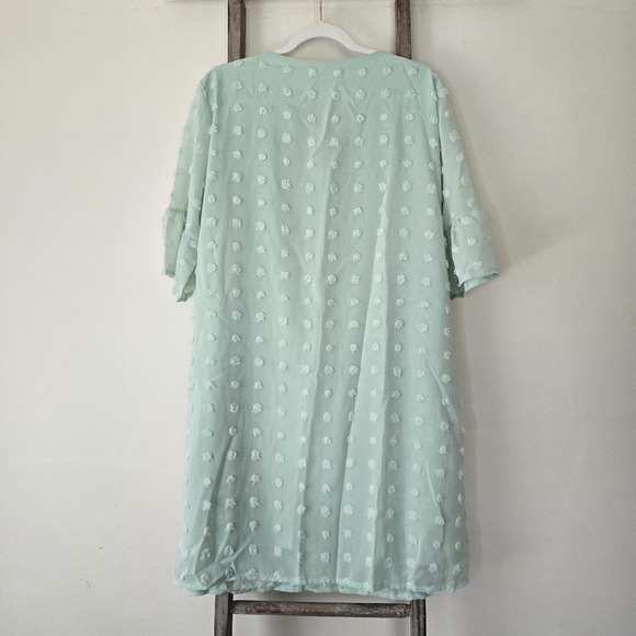 ⭐️40% Off⭐️ Mint Chiffon Polka Dot Shift Dress - Picture 6 of 14